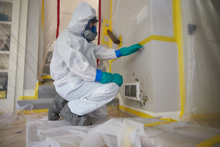 Mold inspection Greater Chicago